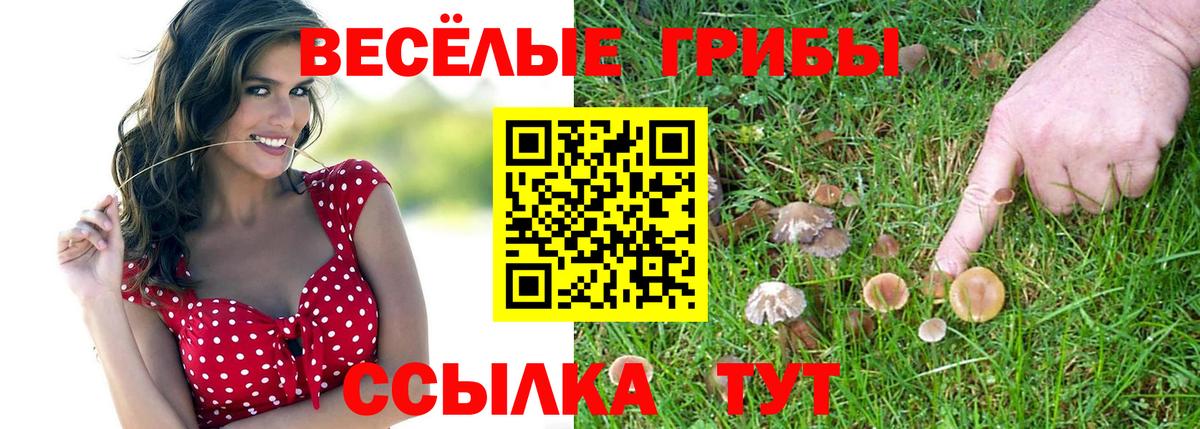 Ачхой-Мартан  Псилоцибиновые грибы GOLDEN TEACHER  Вход с VPN 